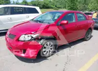 2009 Toyota COROLLA photo