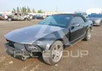 2009 Ford MUSTANG фото