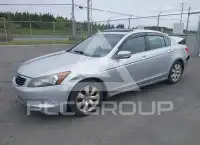 2010 Honda Accord photo
