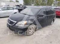 2010 Honda ODYSSEY фото
