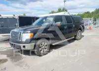 2010 Ford F-150 photo