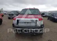 2010 Ford F-150 photo