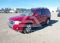 2010 Ford ESCAPE photo