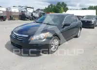 2011 Honda Accord photo