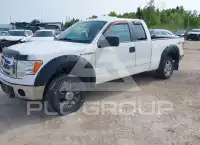 2012 Ford F-150 photo