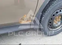 2013 Toyota RAV4 фото