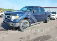2013 Ford F-150 фото