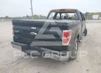 2013 Ford F-150 photo