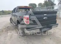 2013 Ford F-150 photo