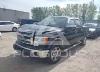 2014 Ford F-150 photo
