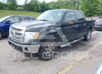 2014 Ford F-150 фото