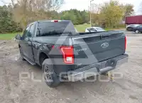 2015 Ford F-150 photo