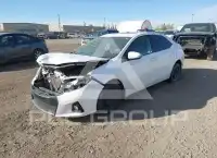2016 Toyota COROLLA photo