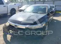 2019 Honda Accord photo