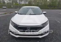 2019 Honda CIVIC photo