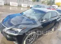 2019 Lexus NX300 фото