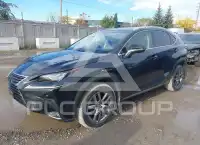 2019 Lexus NX300 фото