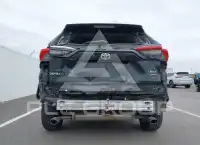 2019 Toyota RAV4 photo