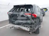 2019 Toyota RAV4 photo