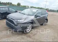 2019 Toyota RAV4 photo