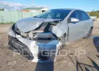 2019 Toyota COROLLA photo