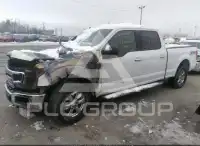 2019 Ford F-150 photo