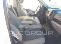 2019 Ford F-150 фото