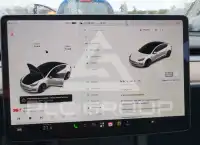 2021 Tesla Model 3 photo