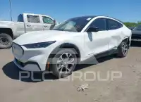 2021 Ford MUSTANG фото