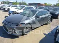2022 Lexus ES300 фото