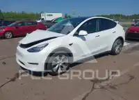 2023 Tesla Model Y фото