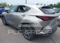2023 Lexus NX250 фото