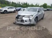 2024 Lexus UX250 фото