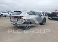 2024 Lexus NX250 фото