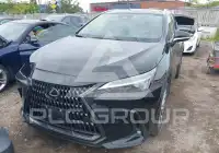 2024 Lexus NX250 фото