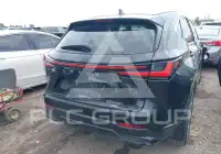 2024 Lexus NX250 фото