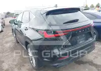 2024 Lexus NX250 фото