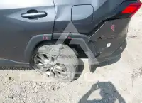 2024 Toyota RAV4 photo