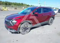 2024 KIA Sportage фото