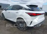 2025 Lexus RX350 photo