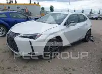 2025 Lexus UX фото