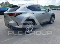 2025 Lexus NX250 photo