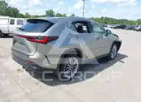 2025 Lexus NX250 фото
