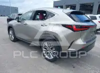 2025 Lexus NX250 photo