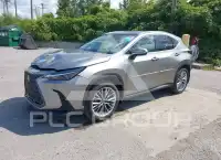 2025 Lexus NX250 фото