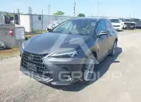2025 Lexus NX250 фото