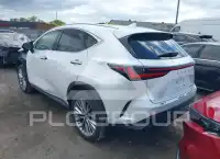 2025 Lexus NX250 фото