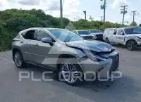 2025 Lexus NX250 фото