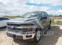 2025 Ford F-150 photo