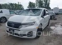 2026 Honda ODYSSEY photo